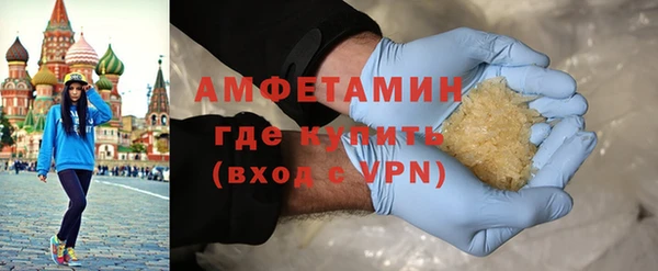 прущие грибы Каменногорск
