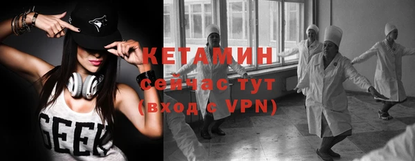 прущие грибы Каменногорск