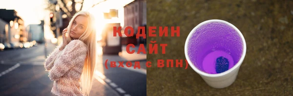 сатива Каменск-Шахтинский