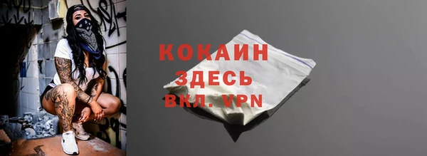 стаф Нея
