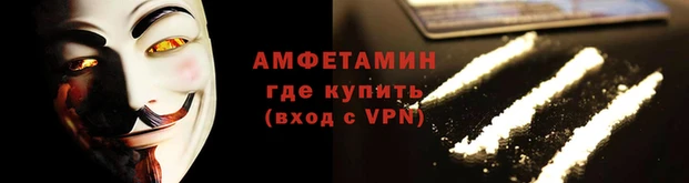 ГАЛЛЮЦИНОГЕННЫЕ ГРИБЫ Каменка
