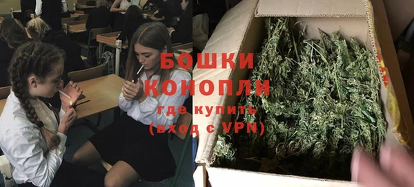 прущие грибы Каменногорск
