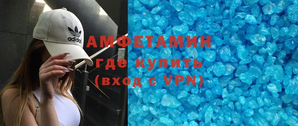 прущие грибы Каменногорск