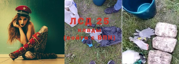 ГАЛЛЮЦИНОГЕННЫЕ ГРИБЫ Каменка
