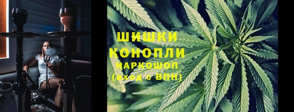 сатива Каменск-Шахтинский