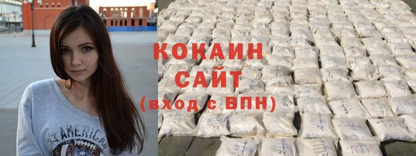 ГАЛЛЮЦИНОГЕННЫЕ ГРИБЫ Каменка