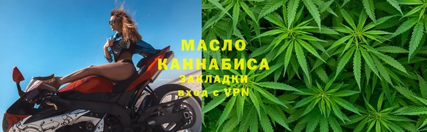 ГАЛЛЮЦИНОГЕННЫЕ ГРИБЫ Каменка