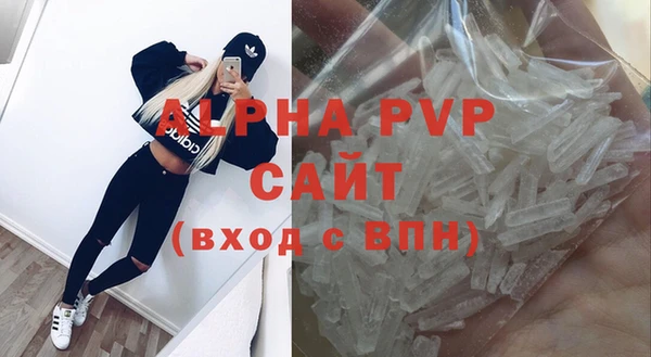 ГАЛЛЮЦИНОГЕННЫЕ ГРИБЫ Каменка