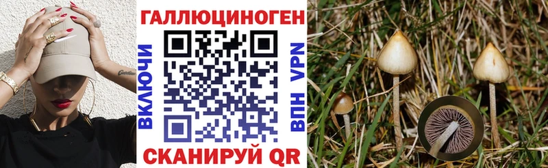 mega ТОР Нижний Тагил Галлюциногенные грибы GOLDEN TEACHER